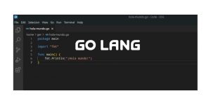 Cómo empezar a programar en GO
