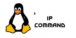 Crear interfaz de VLAN con el comando ip
