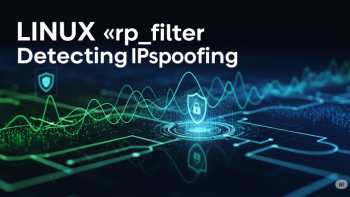 Protegiendo tu Sistema Linux: La Importancia de `rp_filter` contra el IP Spoofing y los DDoS